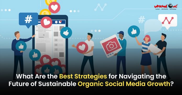 Navigating the Future: Strategies for Sustainable Organic Social Media Growth!